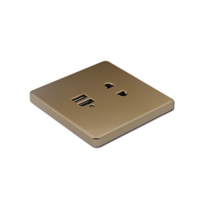 2 pin socket with 2 usb port golden face wall socket
